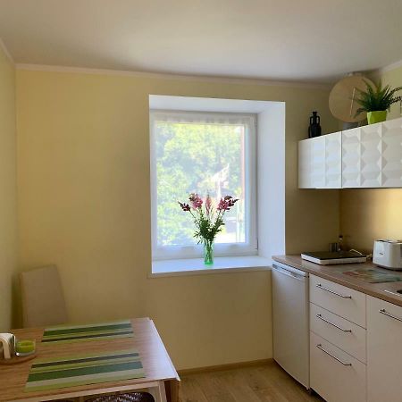 Excelent Apartment With Garden And Free Parking Riga Exterior foto